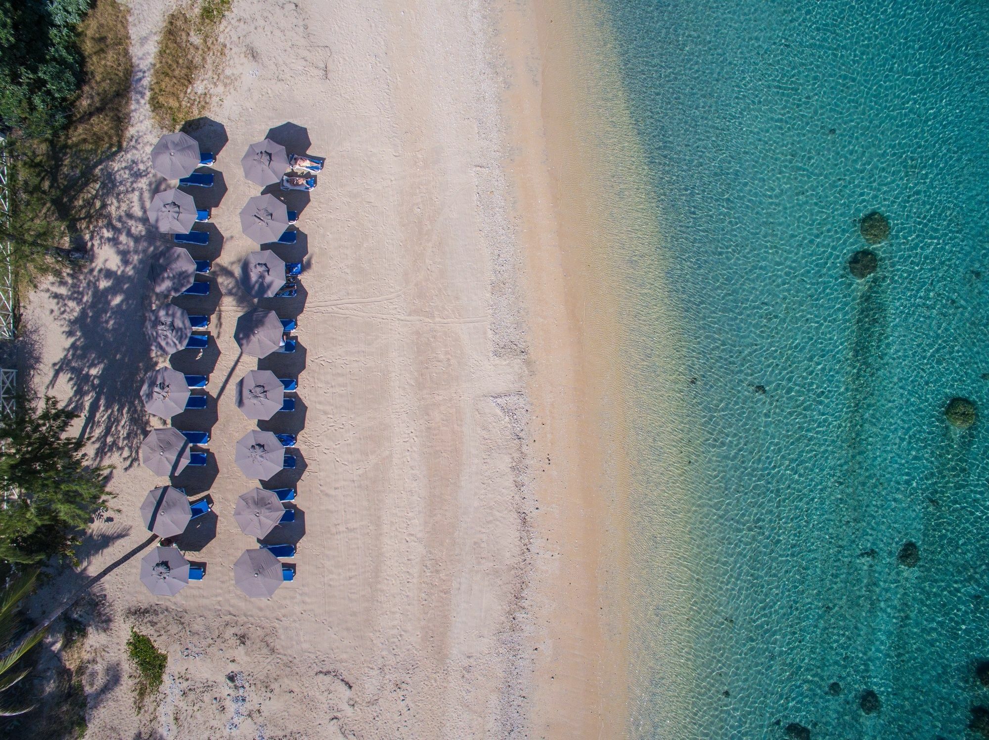 סן-ז'יל-לה-באן Le Nautile Beachfront מראה חיצוני תמונה